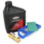 Briggs & Stratton Intek Service Kit (Air Filters, Plug, Oil)