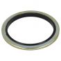 7/8" BSP Self Centring Bonded Seal (Dowty Washer)