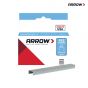 Arrow P22 Staples 6mm (1/4in) Box 5050 - A224