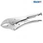 Britool Locking Pliers Curved Jaw 225mm (9in) - E084809