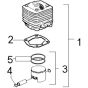 McCulloch CABRIO PLUS 437L PREFIX 02 - 2007-01 - Cylinder Piston (3) Parts Diagram