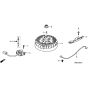 Honda HRD536C - SXE - MZCA 8000001-8099999 Flywheel Diagram