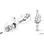 Honda HRD536CK1 - SXE - MZCA 8100001-8199999 Piston/Crankshaft Diagram