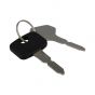 Genuine GGP Ignition Keys (Pair) - 118210023/0