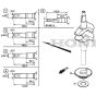 SP425 R - 2019-2021 - 299439038/M19 - Mountfield Rotary Mower Crankshaft Diagram
