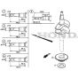 SP53 H - 2019-2021 - 295546038/MC - Mountfield Rotary Mower Crankshaft Diagram