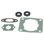 Stihl FS400, FS450, FR450, SP481 Gasket Set - 4128 007 1050
