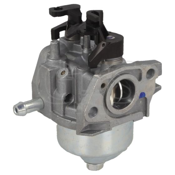 Genuine GGP Carburettor 140Cc - 118552673/0