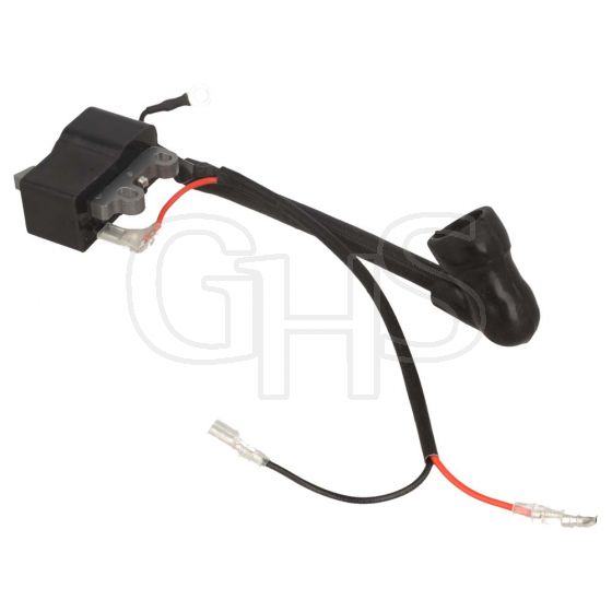 Genuine GGP Ignition Coil - 118805500/0