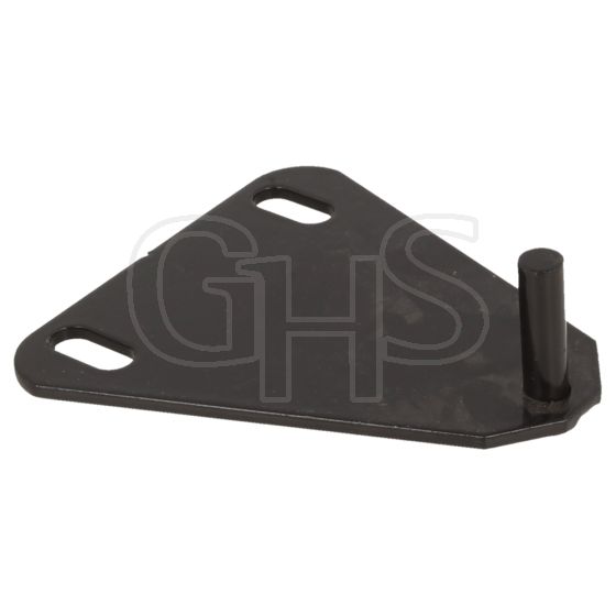 Genuine Countax/ Westwood Clutch Plate Assy - 302007000