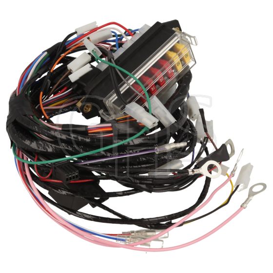 Genuine Countax/ Westwood C, S & T Series Wiring Loom - 449873100 (2011 Non HE)