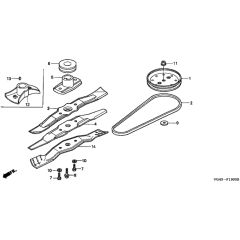 Honda HRG536C - SDT - MZCG 6000001-6299999 Driven Pulley Diagram
