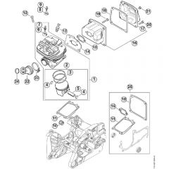 Genuine Stihl MS661 C-M / D - Cylinder, Muffler