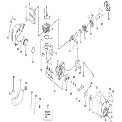 McCulloch TRIM MAC SL - TRIM MAC SL+ - 2010-07 - Engine (1) Parts Diagram