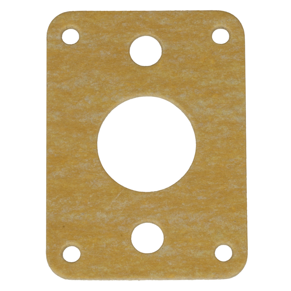 Gasket Intake