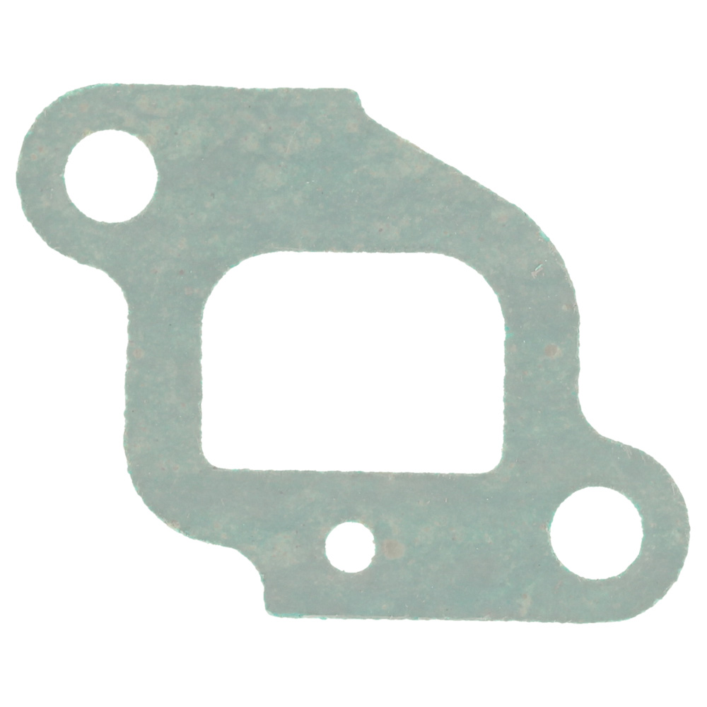 Gasket Intake