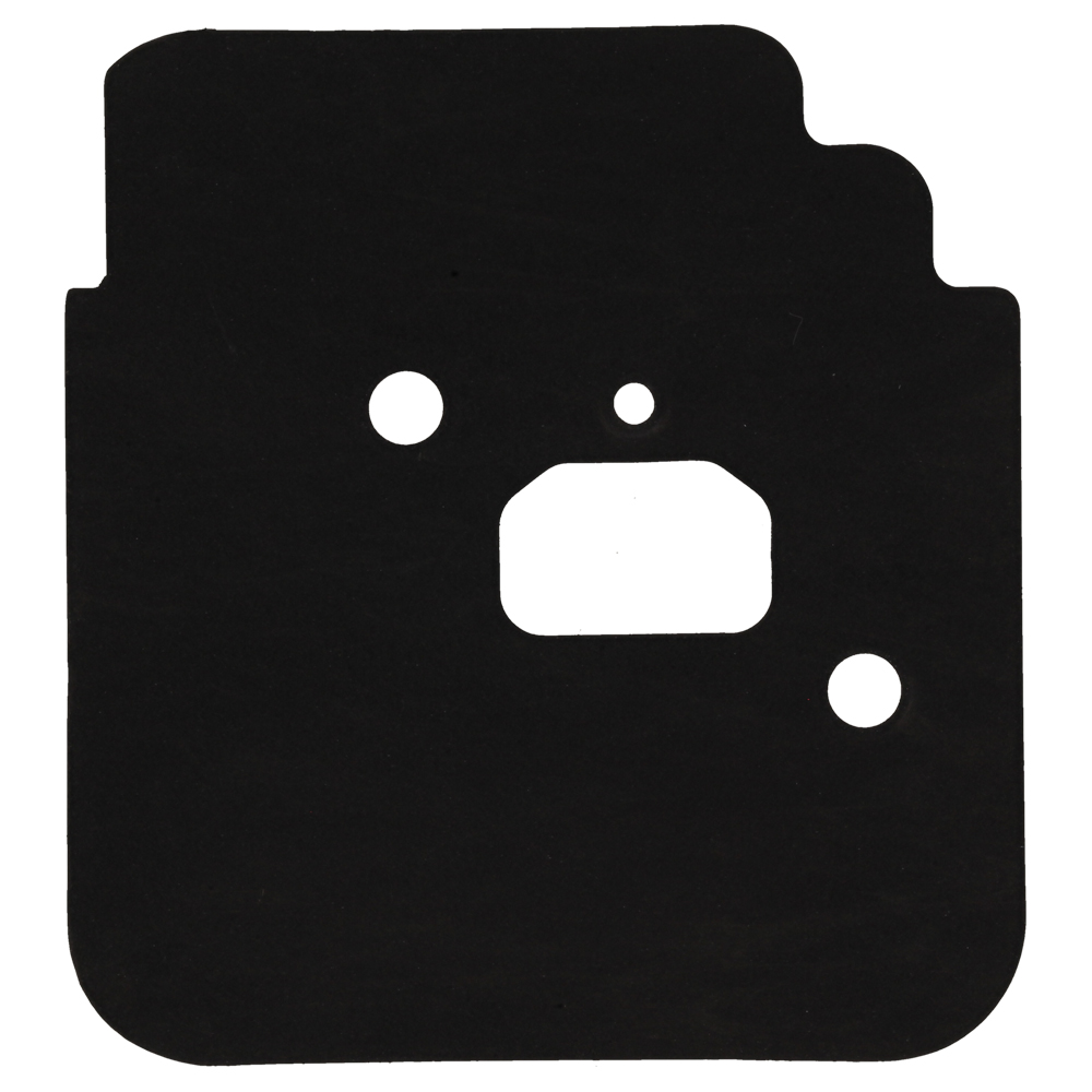 Gasket Intake
