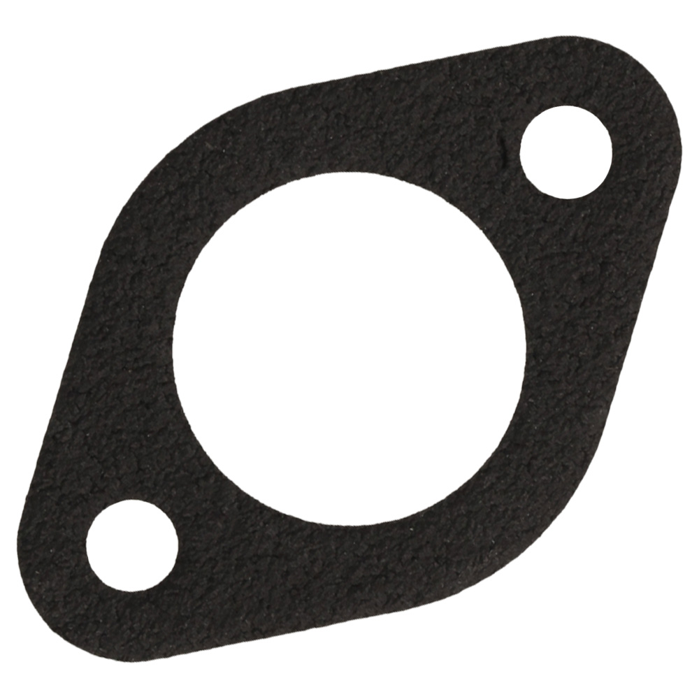 Gasket Intake