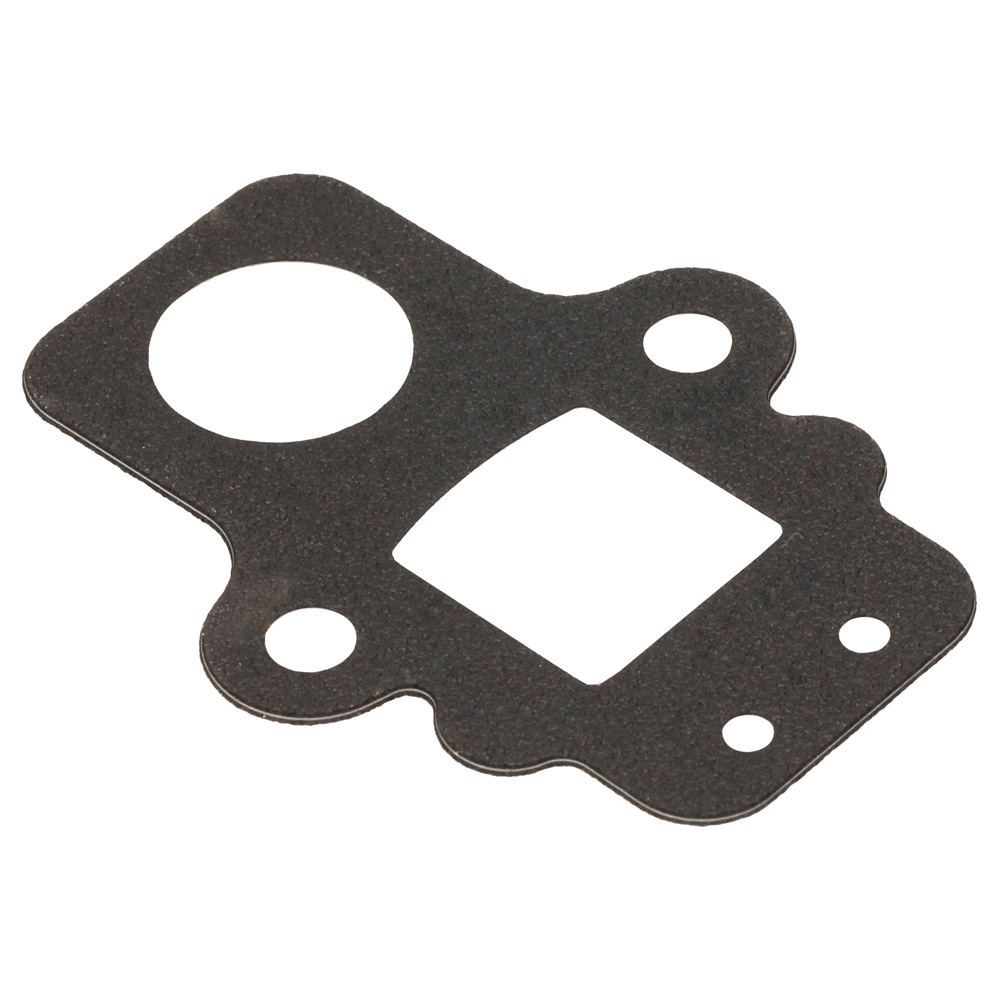 Gasket Intake