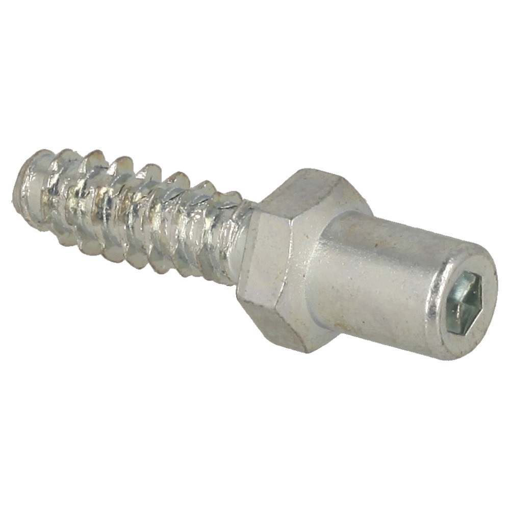 Bolt 5