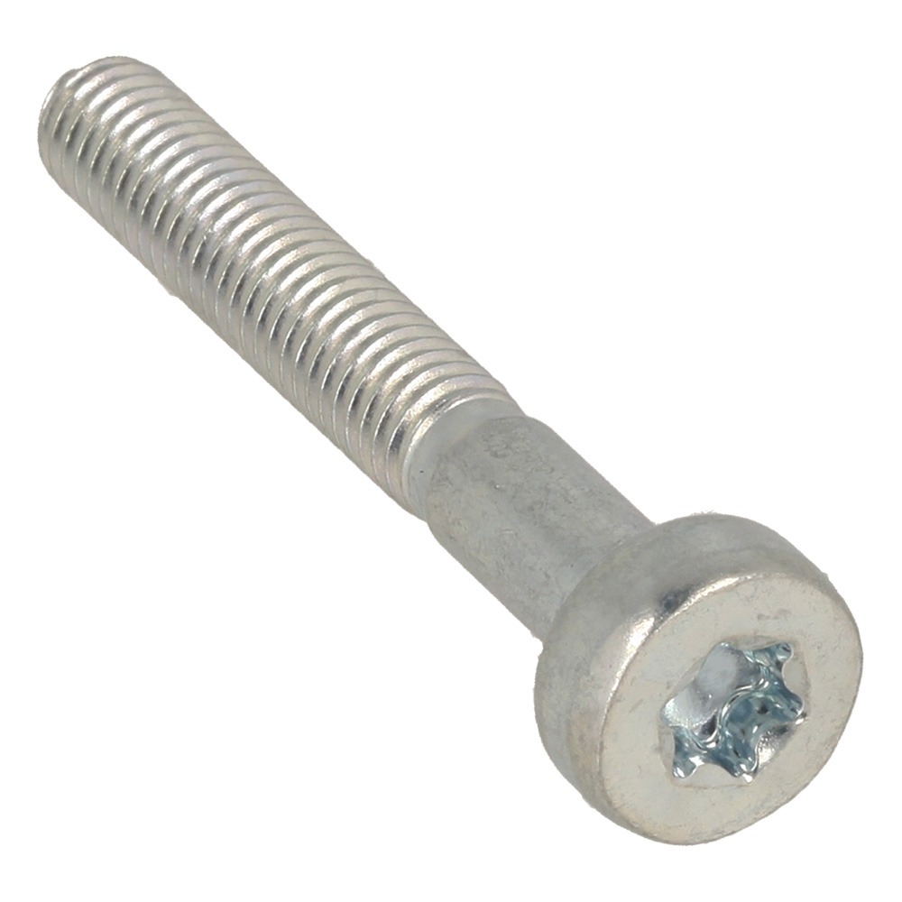 Bolt Torx 5