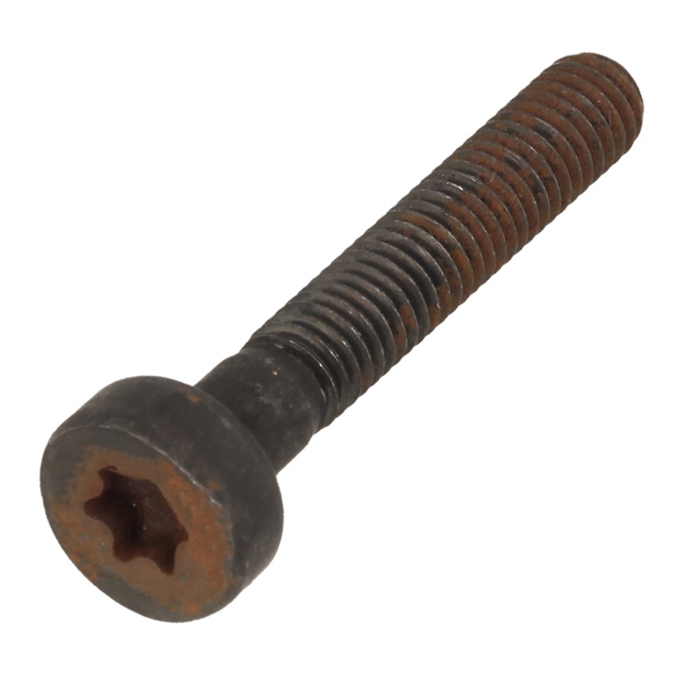 Bolt Torx