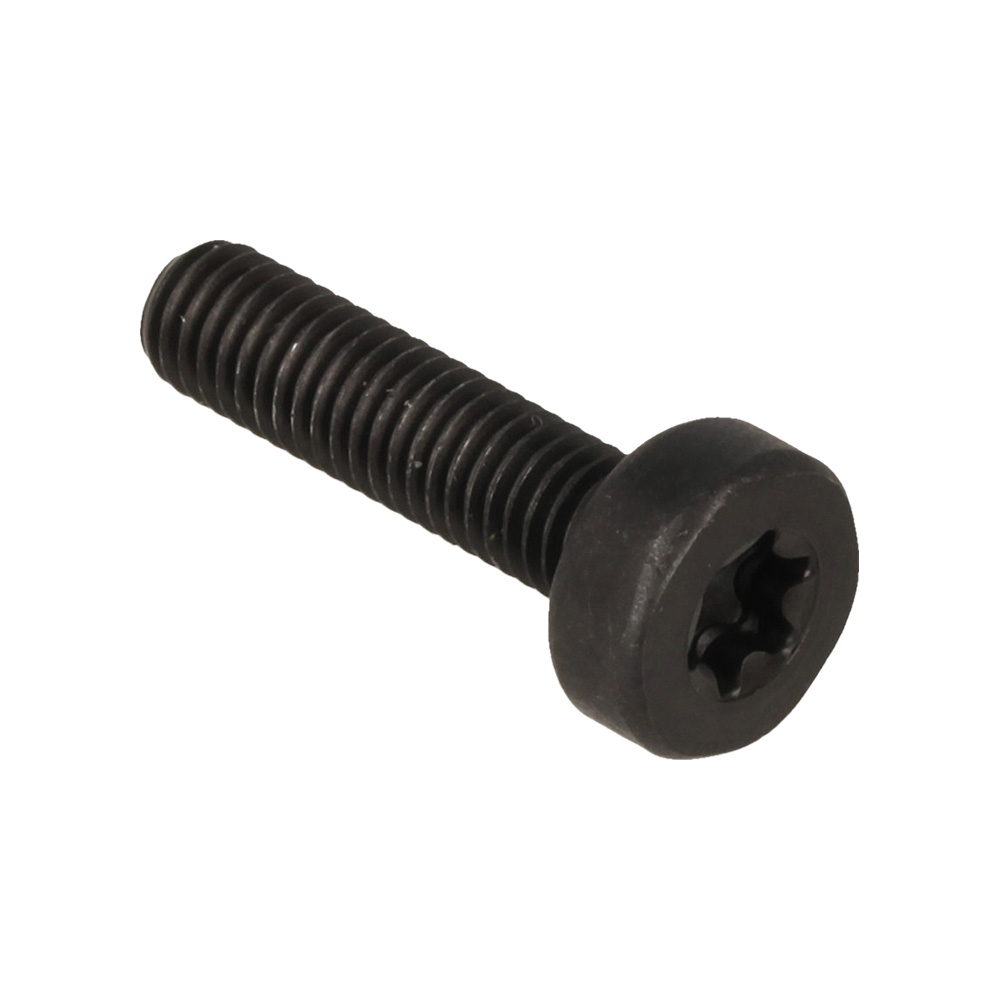 Bolt  Torx 5