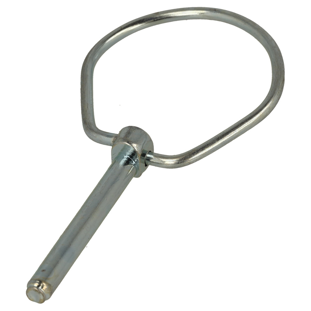 Pin