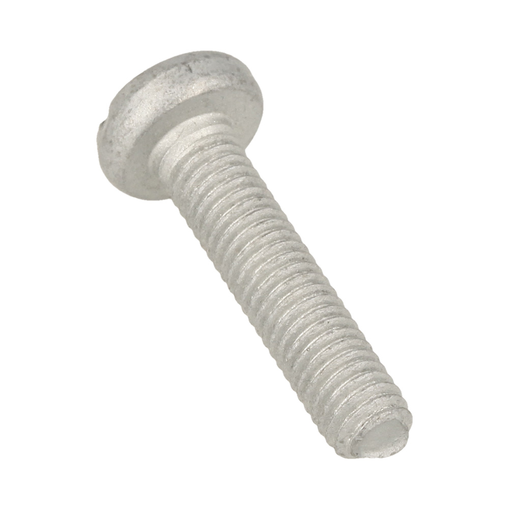 Screw