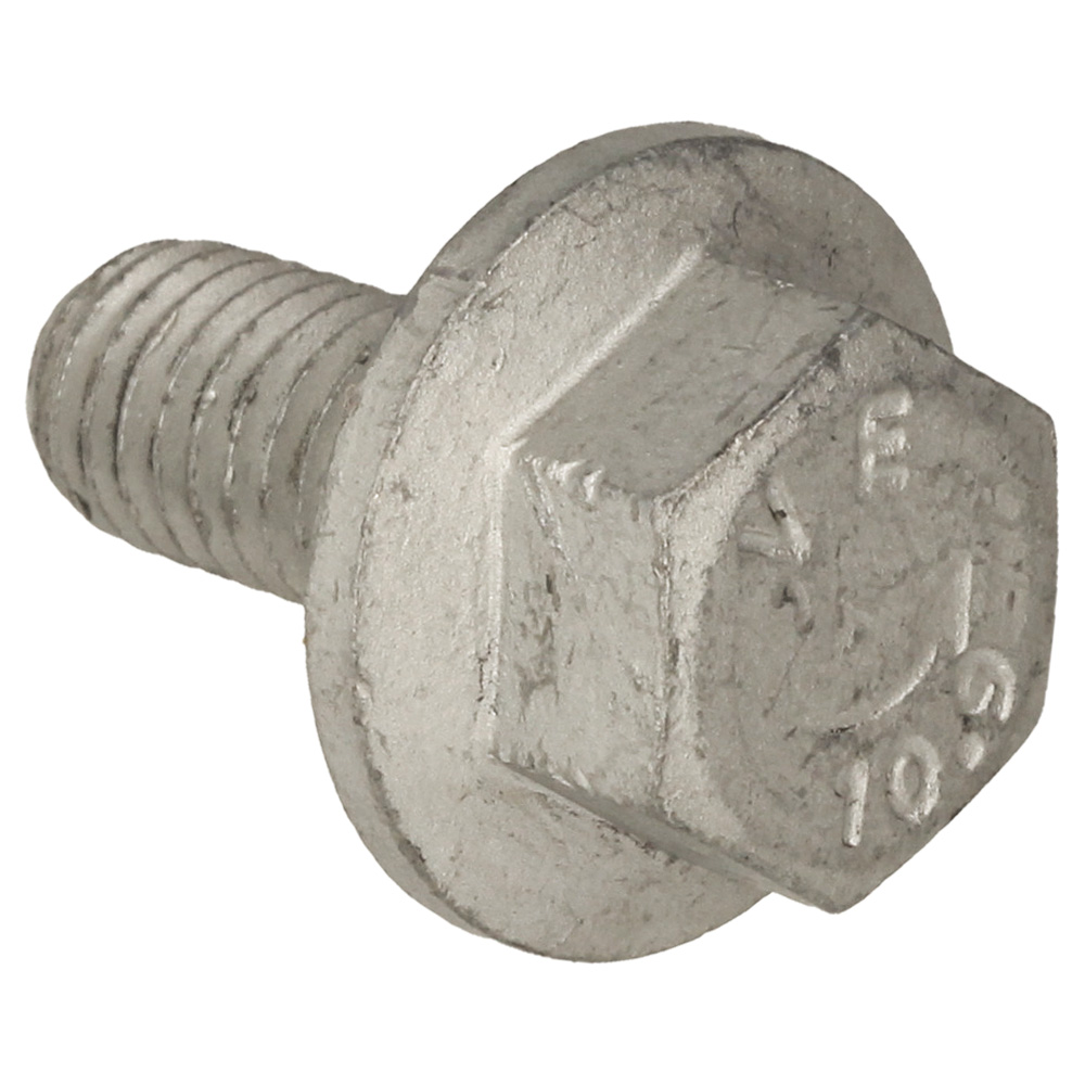 Screw