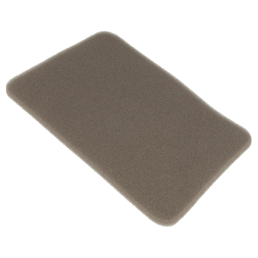 Sponge 41548