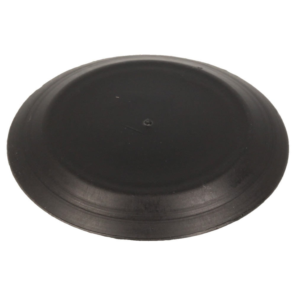 (17.3) CAP PLUG