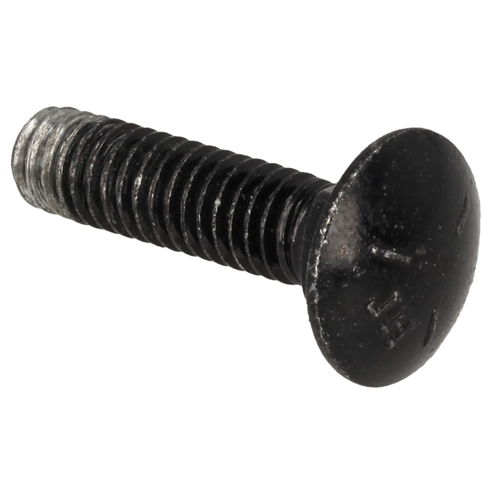 Carriage Bolt