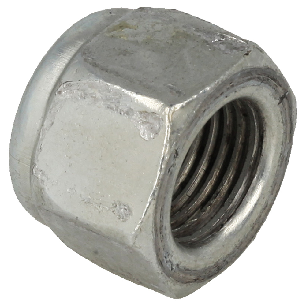 Hex Nut
