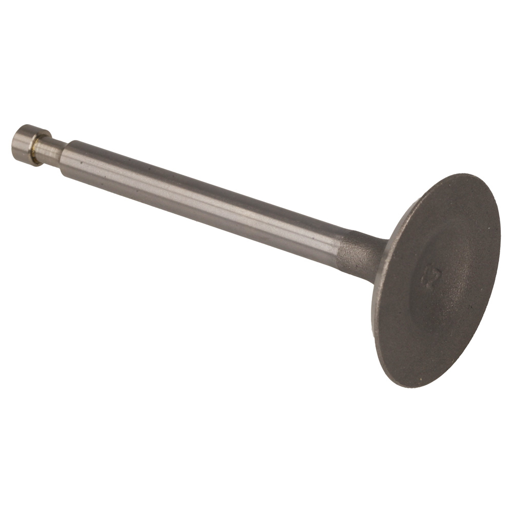 Inlet Valve