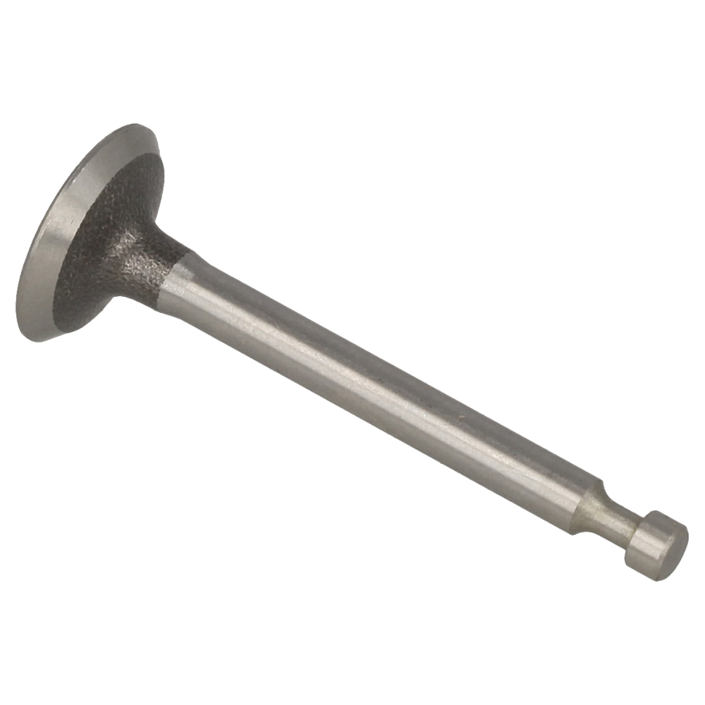 Inlet Valve