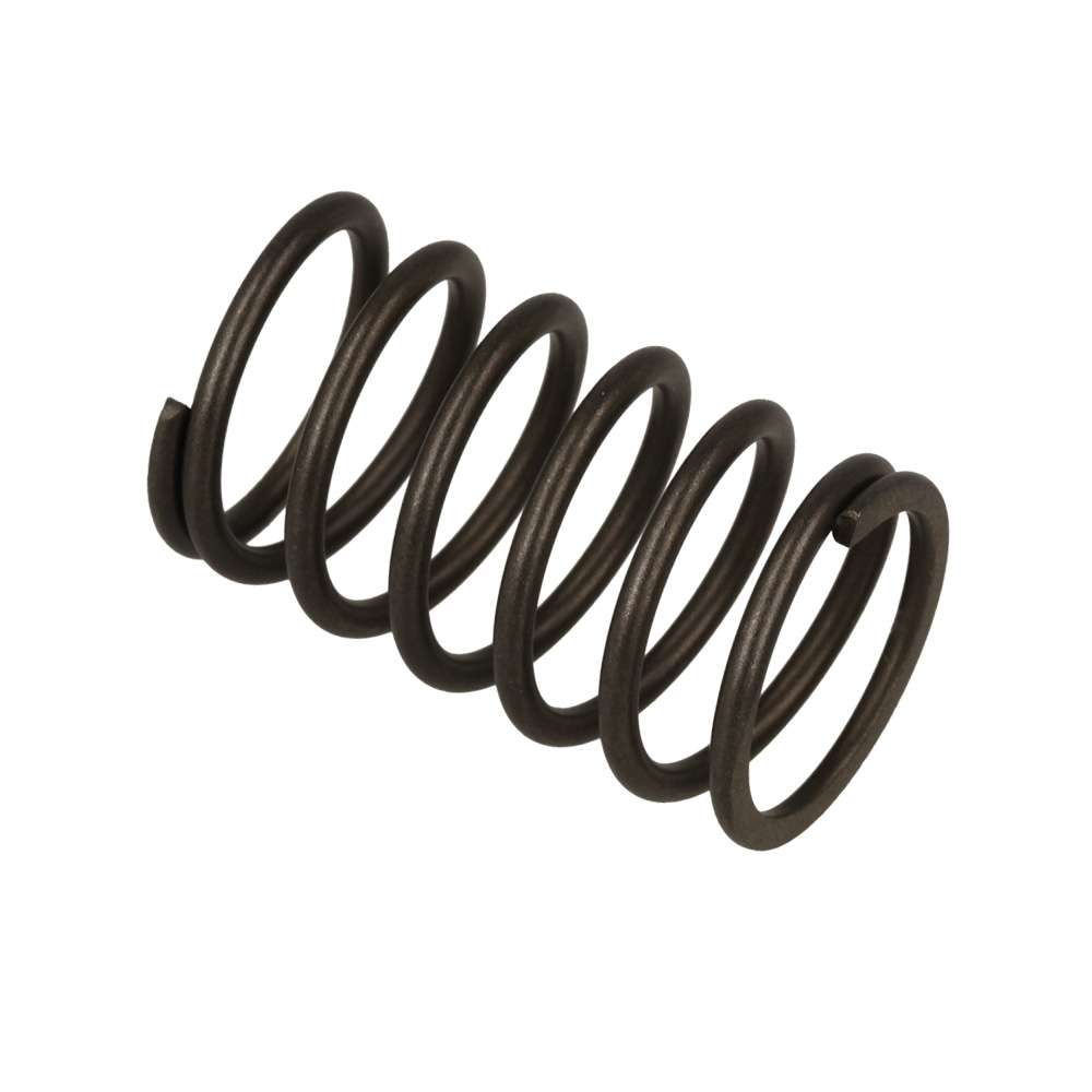 Valve Spring