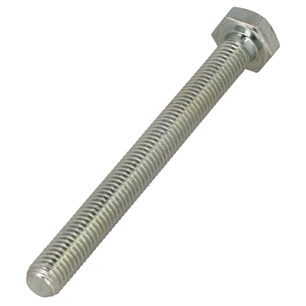 Bolt 10 X 100