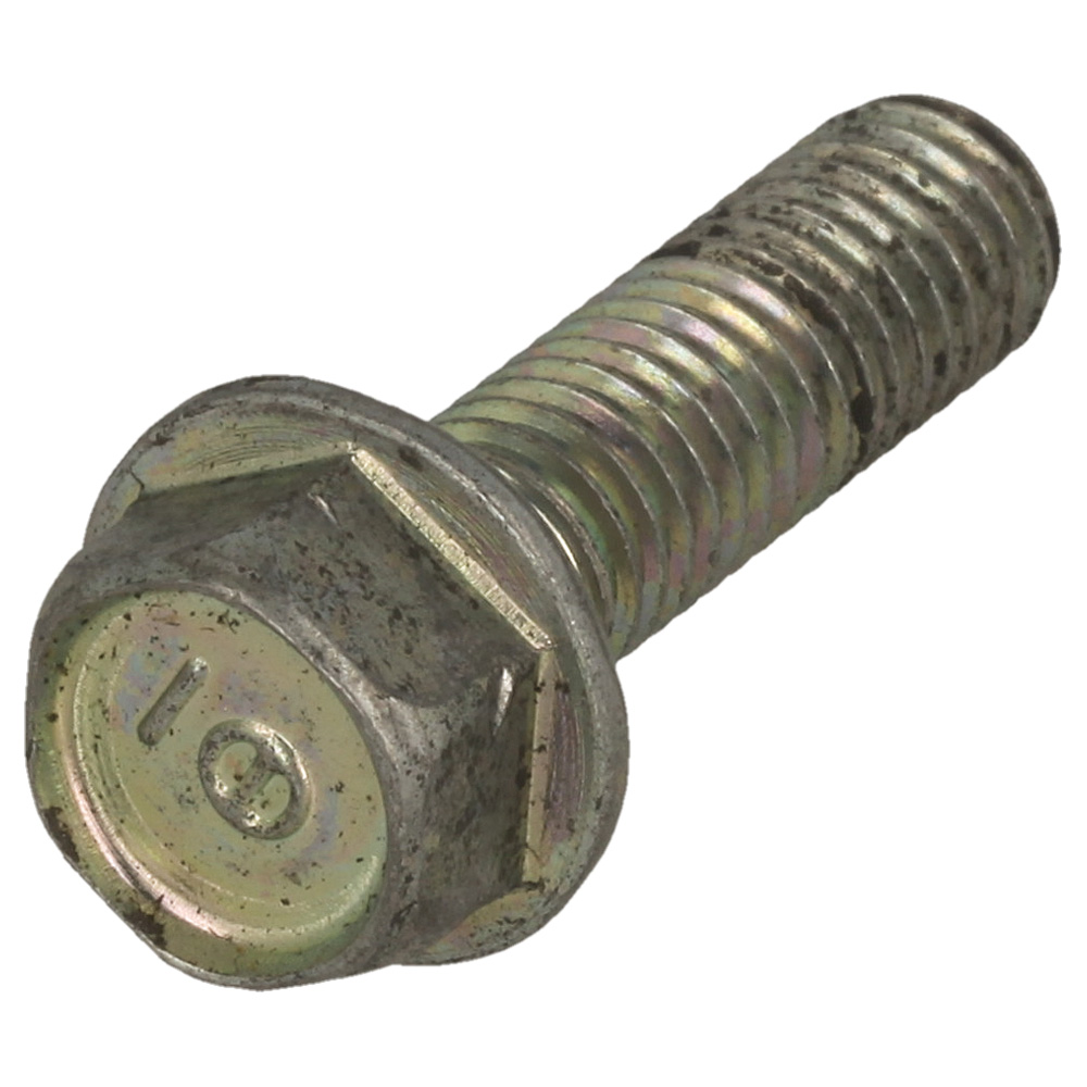 10 Bolt