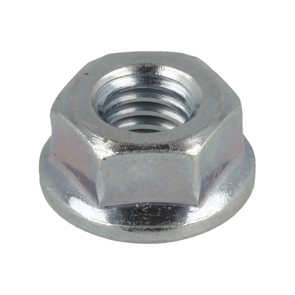 Flange Nut 6Mm