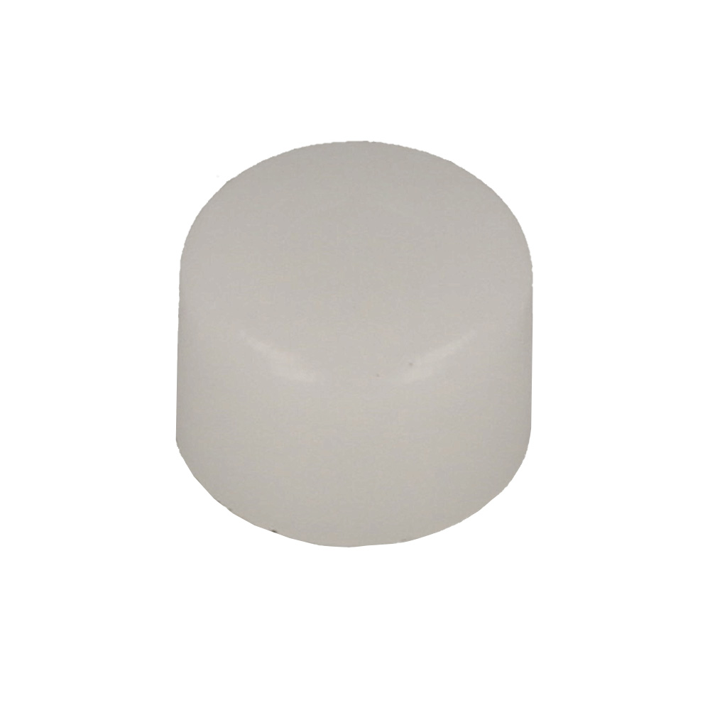 Sealing Plug