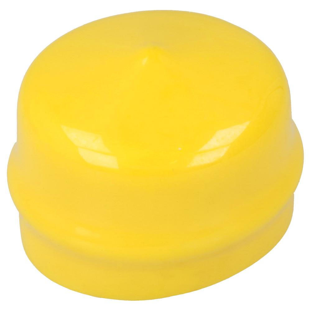 Wheel Cap