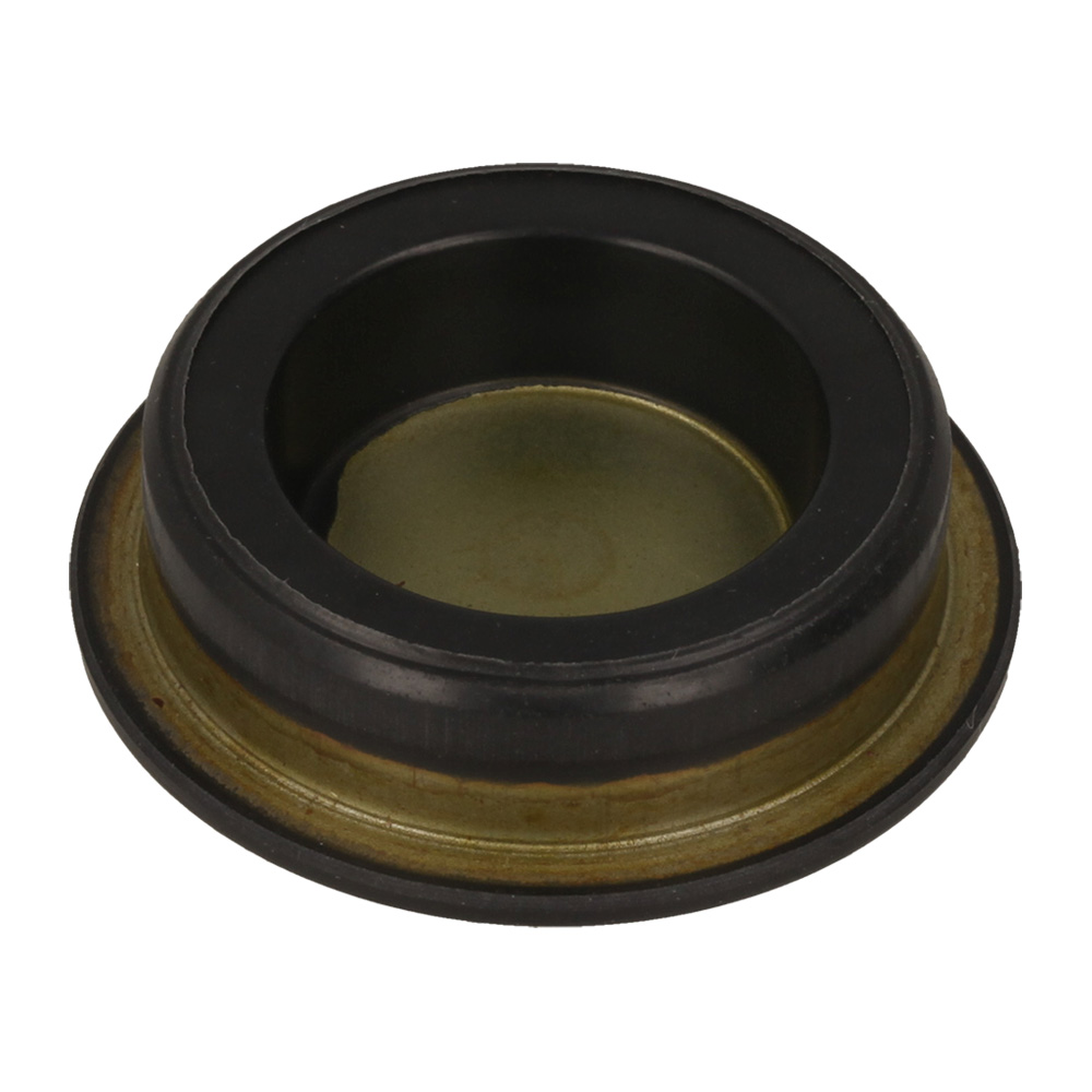 Transmission Oil Seal