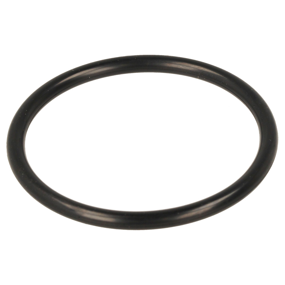 Fuel Filter O-Ring