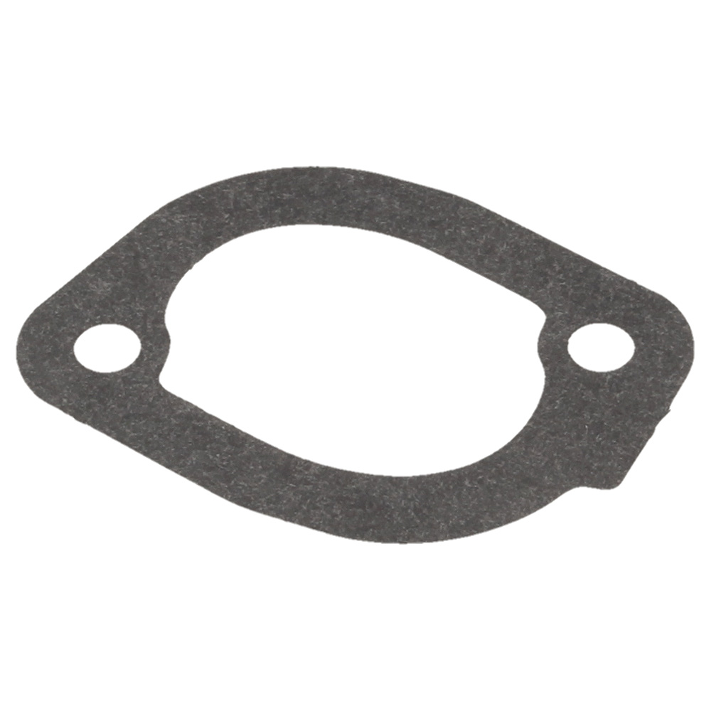 Gasketinsulatormanifold (11061C)