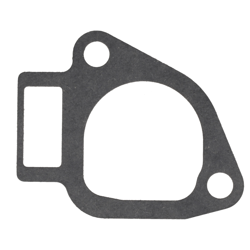 Gasketmanifold (11061C)