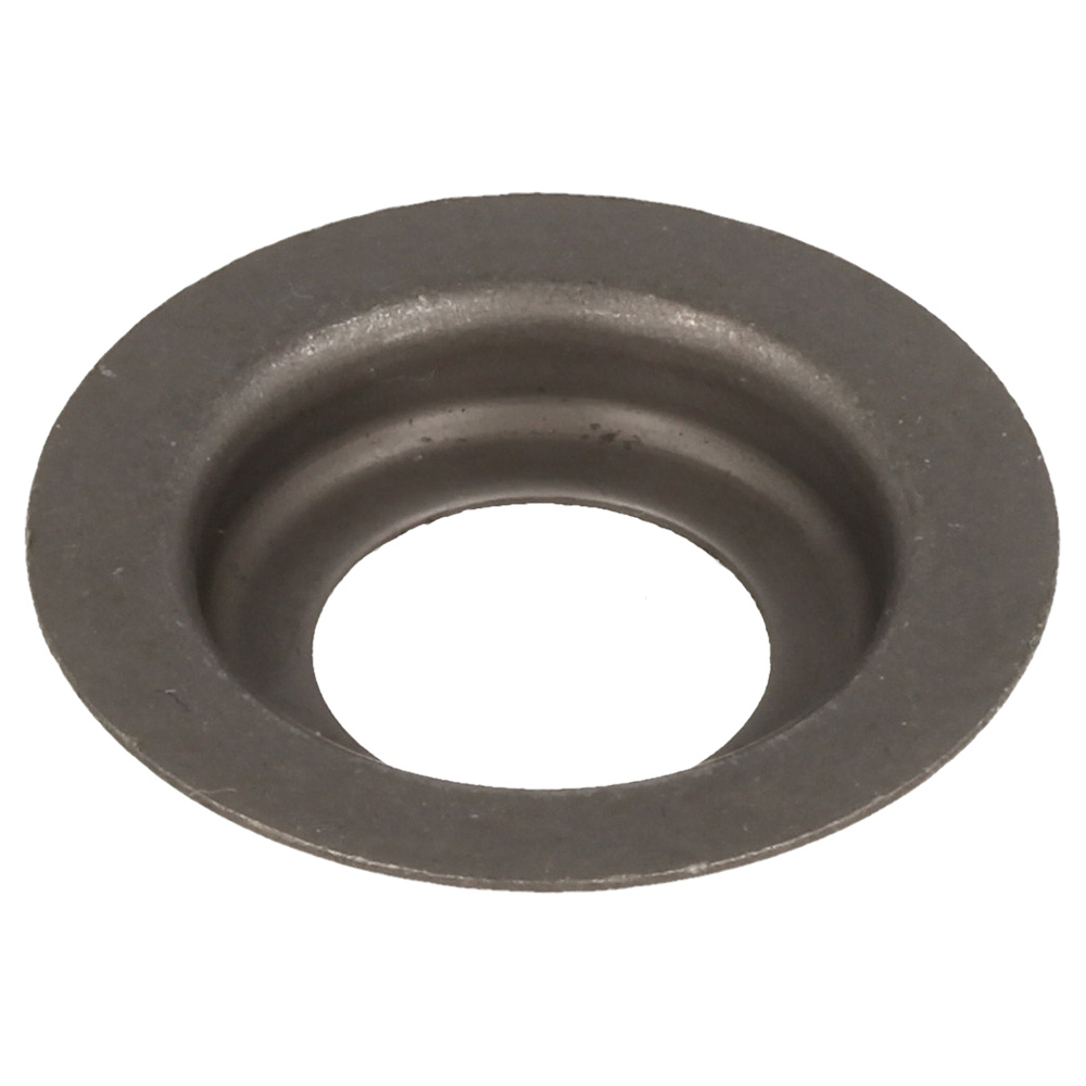 Seat Valve Spring