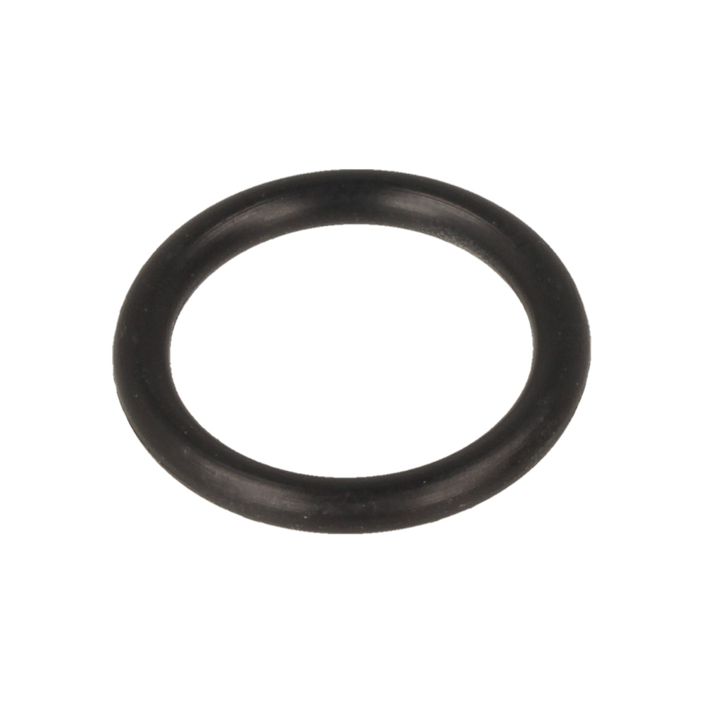 O Ring 15 (Alt.)