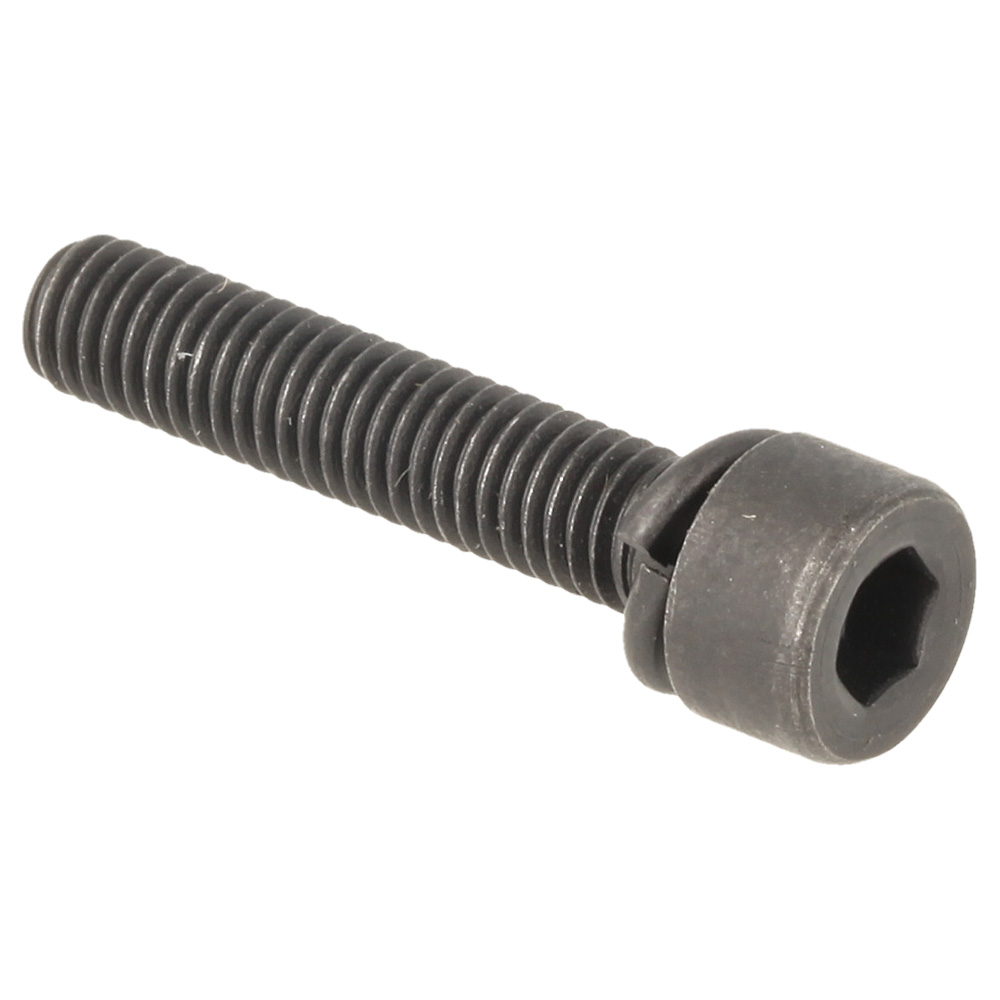 Hex. Socket Head Bolt M5x25 W (Alt.)