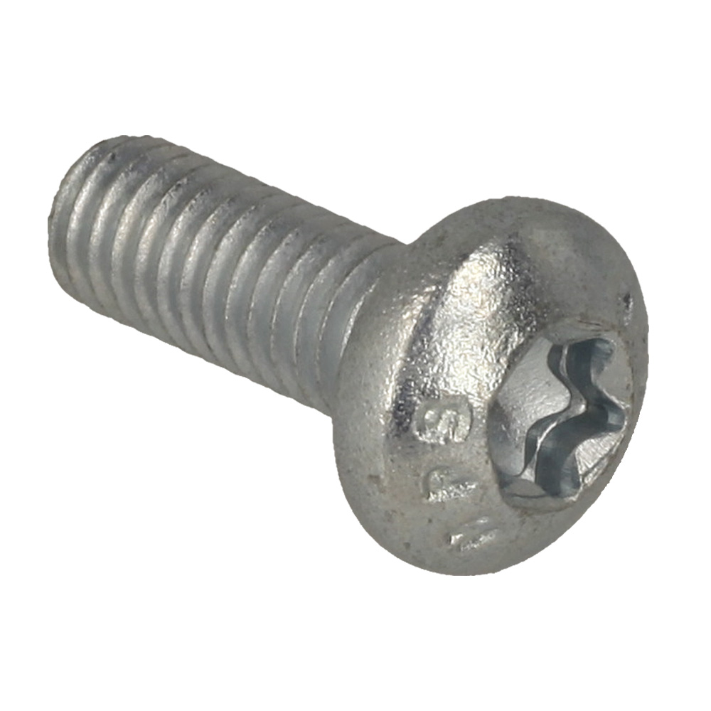 Screw